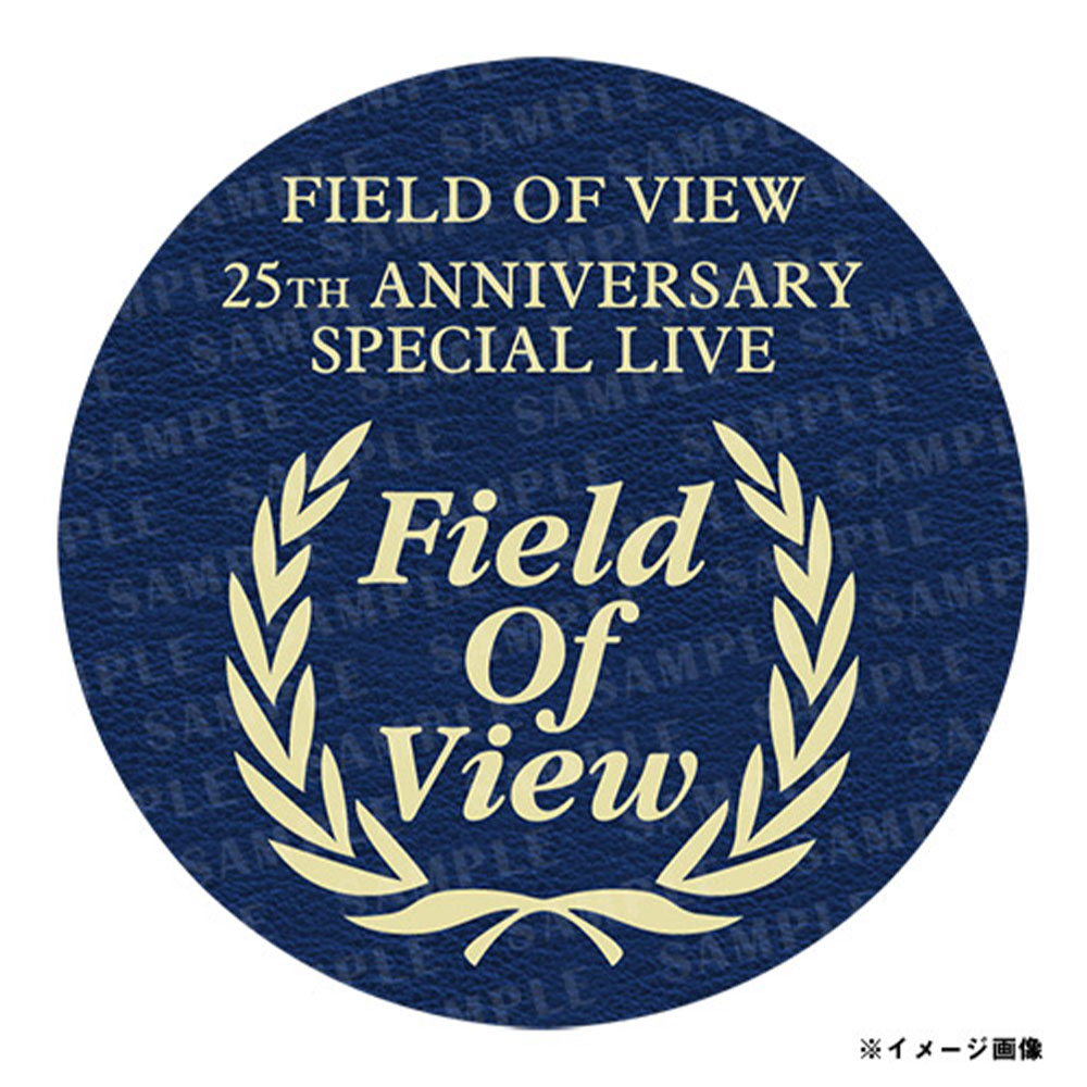 FIELD OF VIEW ～25th Anniversary Special Live DVD